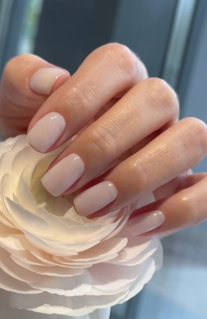 Sheer pink old money nails, natural and glossy, holding a blush flower, minimalist elegance.
